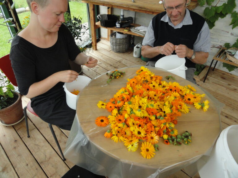 楽園のあとの現実